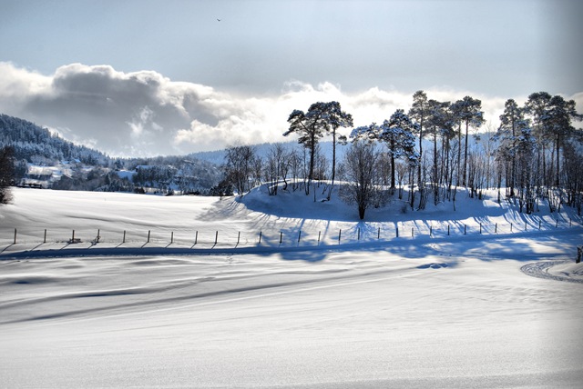 [DSC_0157_fhdr[5].jpg]